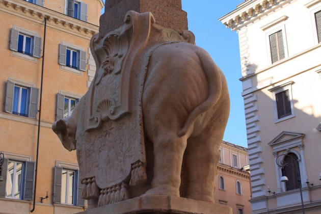 Bernini, elephant obelisk detail, 1667. Outside Maria Sopra Minerva, Rome.