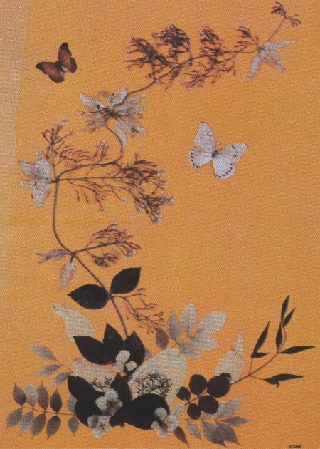 Grace Kelly, Jasmine, Prunus Leaves