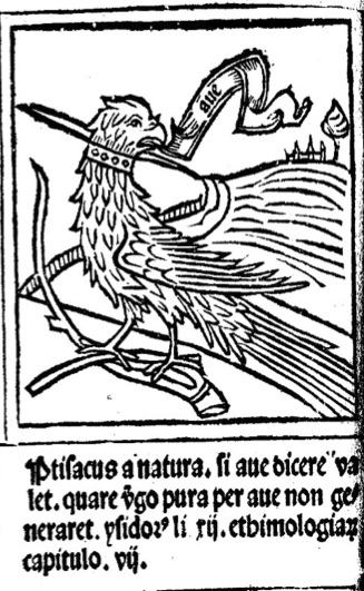 Parrot from Zaragoza version of the “Defensorium” by Fransiscus de Retz