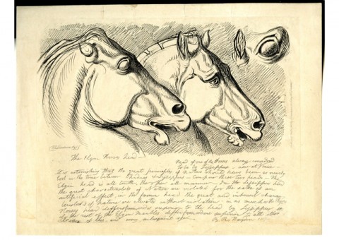 Landseer. etching after Benjamin Haydon's 1819 drawing "Study Of The Horse’s Head From The East Pediment Of The Parthenon And Of The Head Of One Of The Horses Of St Mark’s Basilica, Venice." 
