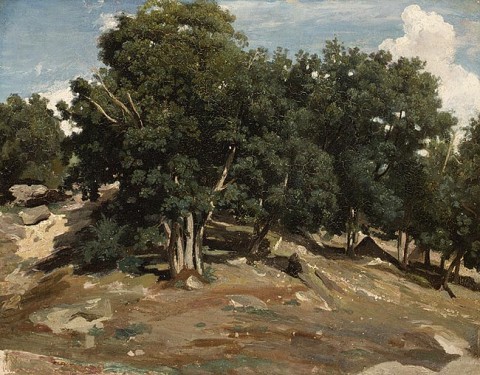 Camille Corot, Fontainebleau- Oak Trees at Bas-Bréau, 1832 or 1833. Oil on paper laid down on wood; 15 5/8 x 19 1/2 in. (39.7 x 49.5 cm). Metropolitan Museum of Art