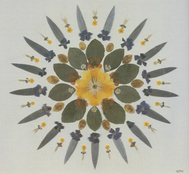 Grace Kelly, pressed flowers in a geometric pattern with protea leaves, periwinkle, viola, daisies, and a yellow daffodil, n.d.